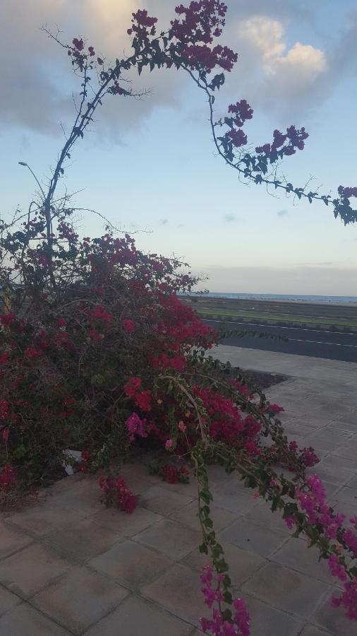 شقة Esquinzo Residenzial Playa Jandia المظهر الخارجي الصورة
